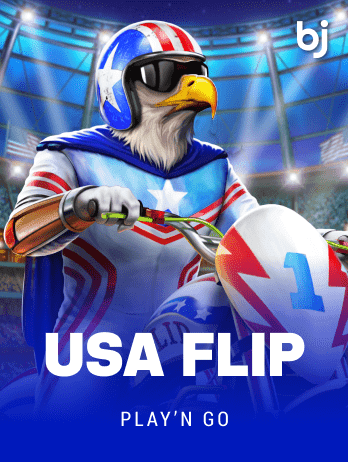 USA Flip screenshot